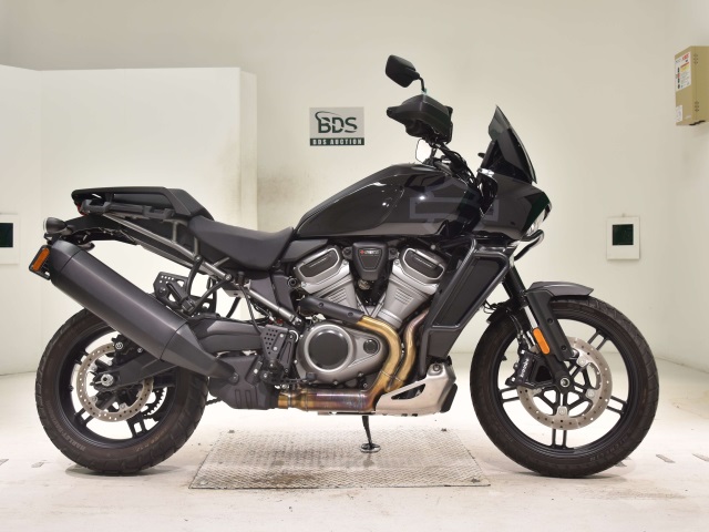 HD PAN AMERICA1250 S 2022