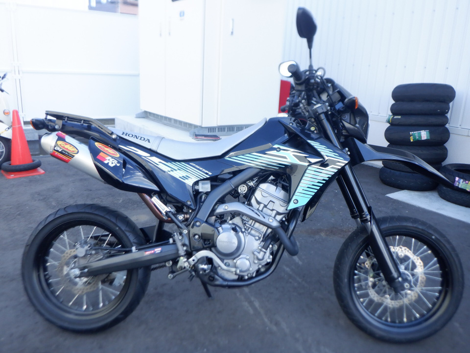 Kawasaki D-TRACKER250X 2009