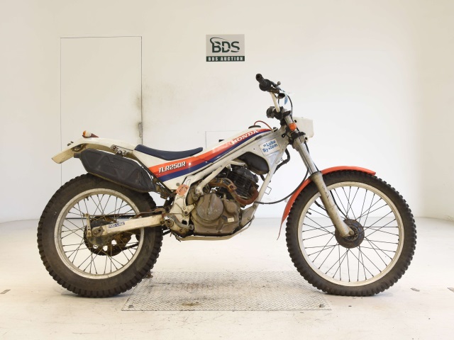 Honda TLR250R 1986