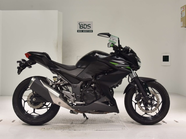 Kawasaki Z250 2013