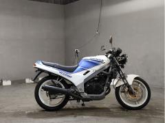 Honda VTZ250 1989