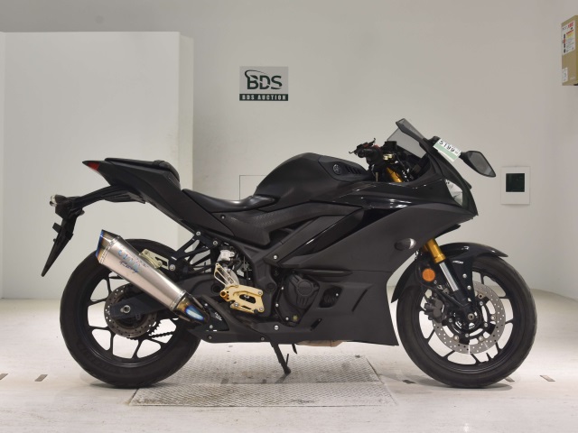 Yamaha YZF-R3 2019