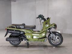 Honda PS250 BIG RUCKUS 2006