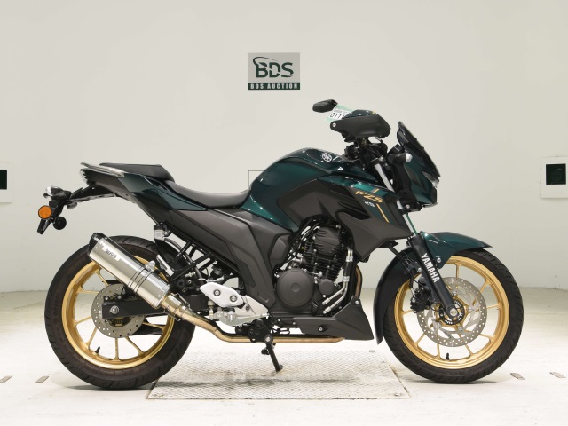 Yamaha FZS25 2021