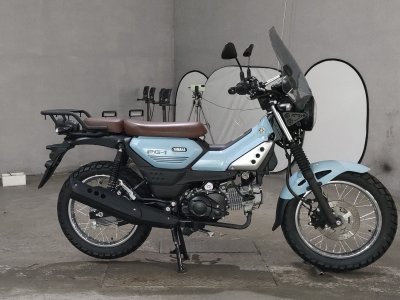Yamaha pg-1 2024