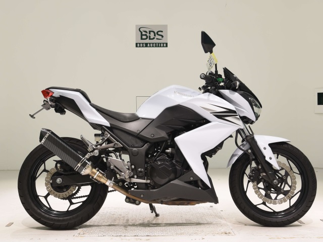 Kawasaki Z250 2013