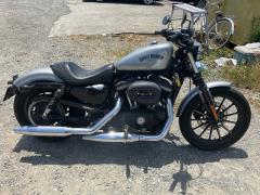 HD SPORTSTER IRON XL883N 2015