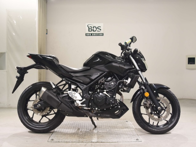 Yamaha MT-25 2017