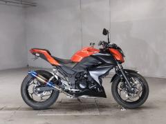 Kawasaki Z250 2014