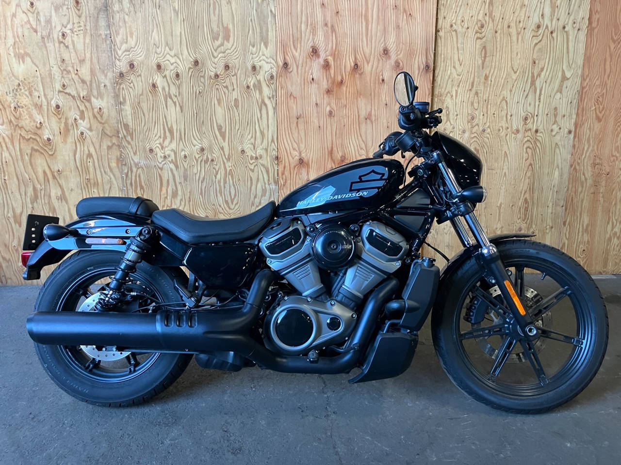 HD RH975 NIGHT STAR 2022