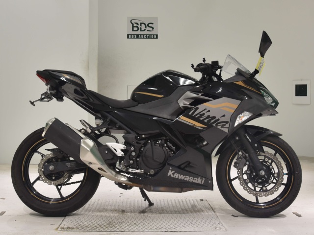 Kawasaki NINJA250 2020