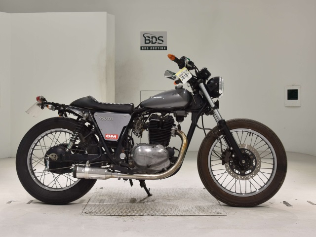 Kawasaki 250TR 2002