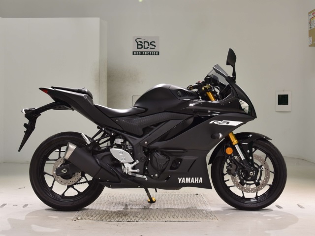 Yamaha YZF-R3 2019