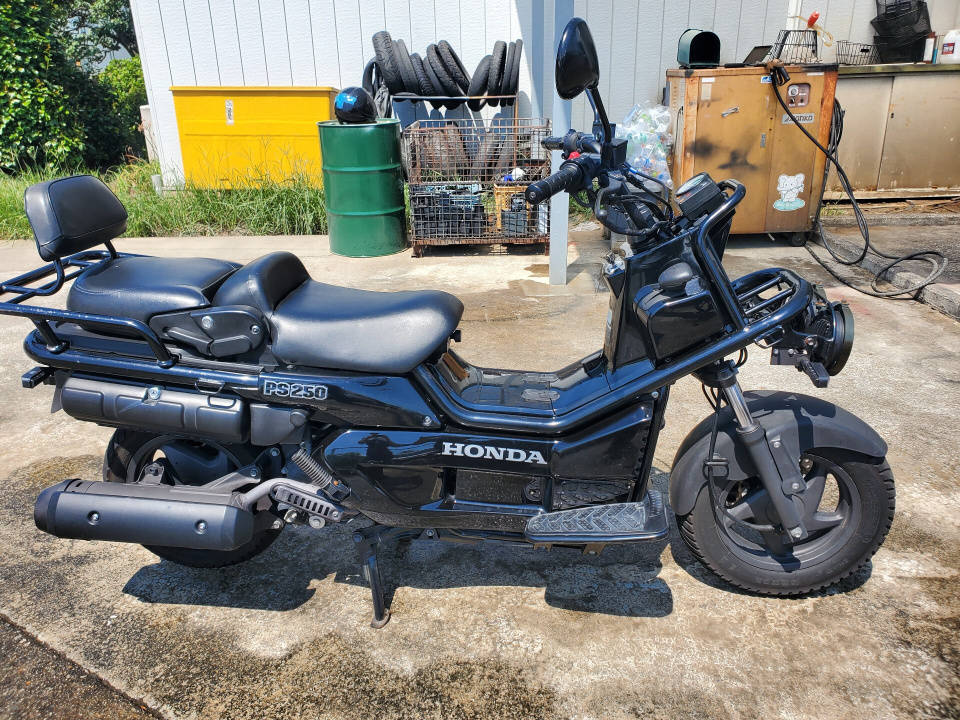 Honda PS250 BIG RUCKUS 2006
