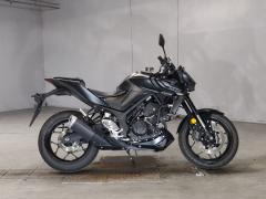 Yamaha MT-25 2021