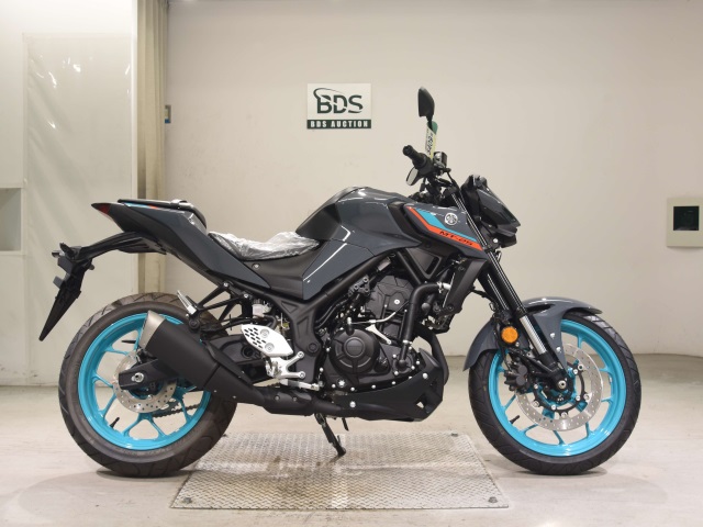 Yamaha MT-25 2022