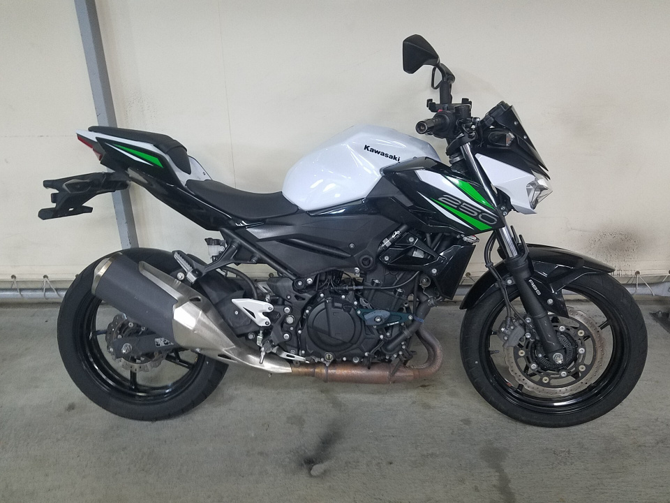 Kawasaki Z250A 2019