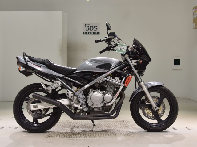 Suzuki BANDIT250