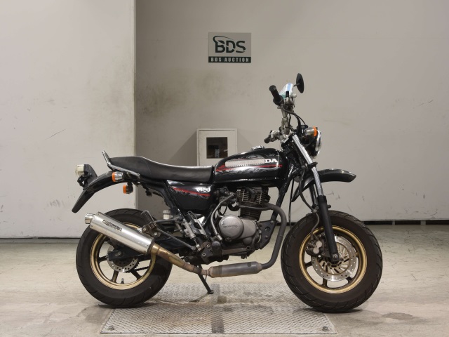 Honda APE100 2010