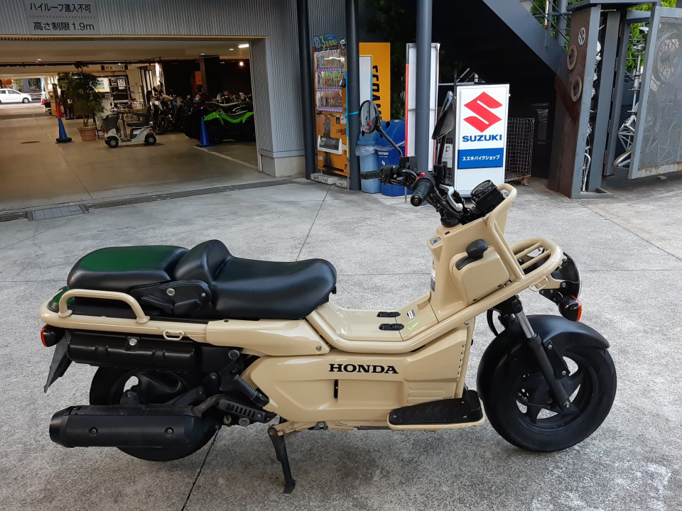 Honda PS250 BIG RUCKUS 2006