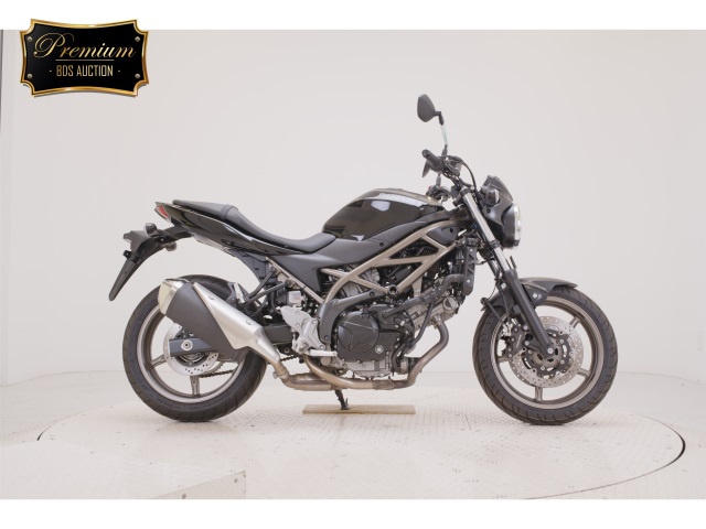 Suzuki SV650A 2024