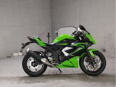 Kawasaki NINJA250 2015
