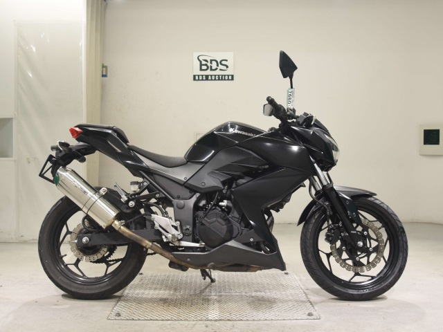 Kawasaki Z250 2013