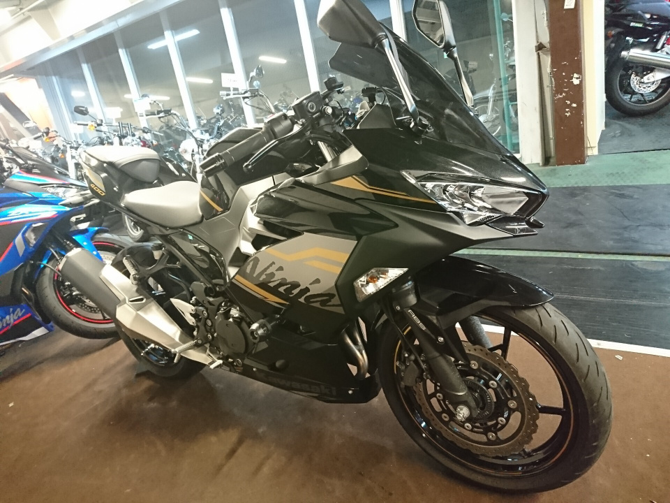 Kawasaki NINJA400 2020