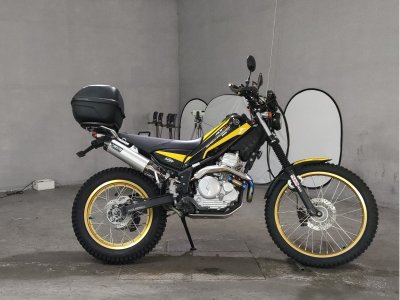 Yamaha TRICKER 2010
