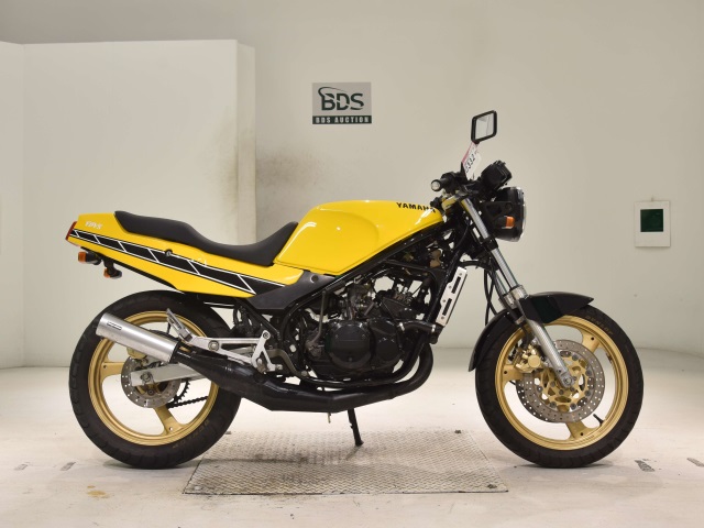 Yamaha RZ250R 1988