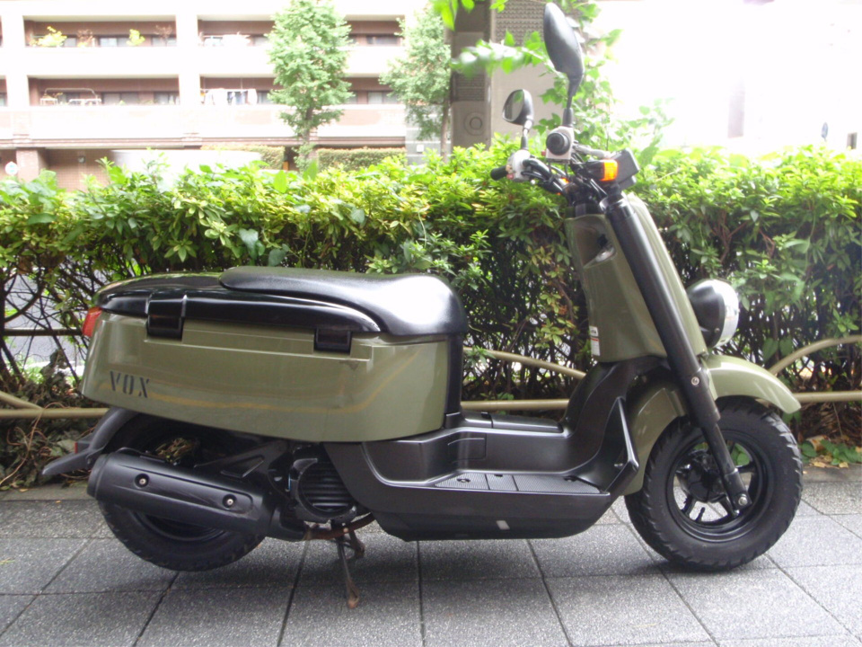 Yamaha VOX 2010