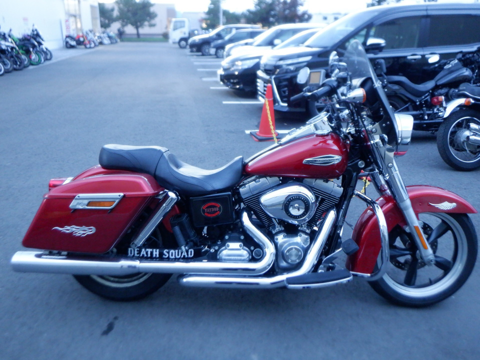 HD SWITCHBACK FLD1580 2012
