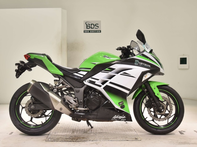 Kawasaki NINJA250 2015