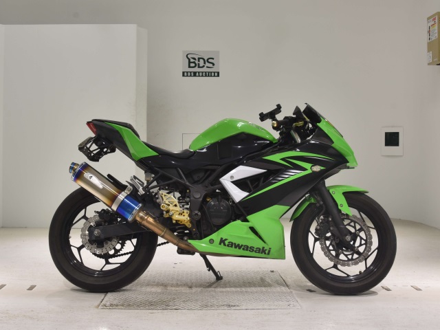 Kawasaki NINJA250 2015