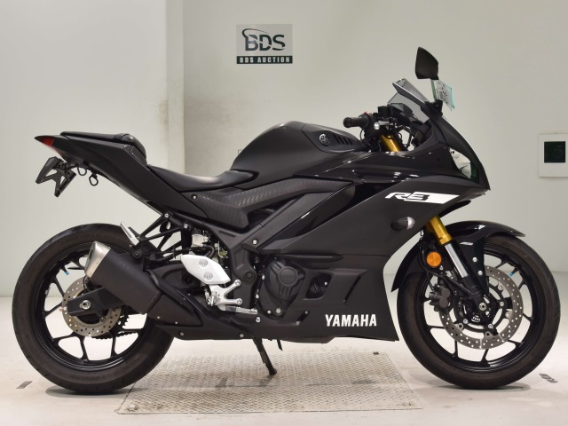 Yamaha YZF-R3 2019