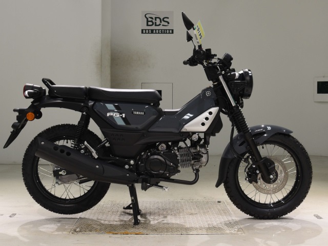 Yamaha PG-1 ABS 2001