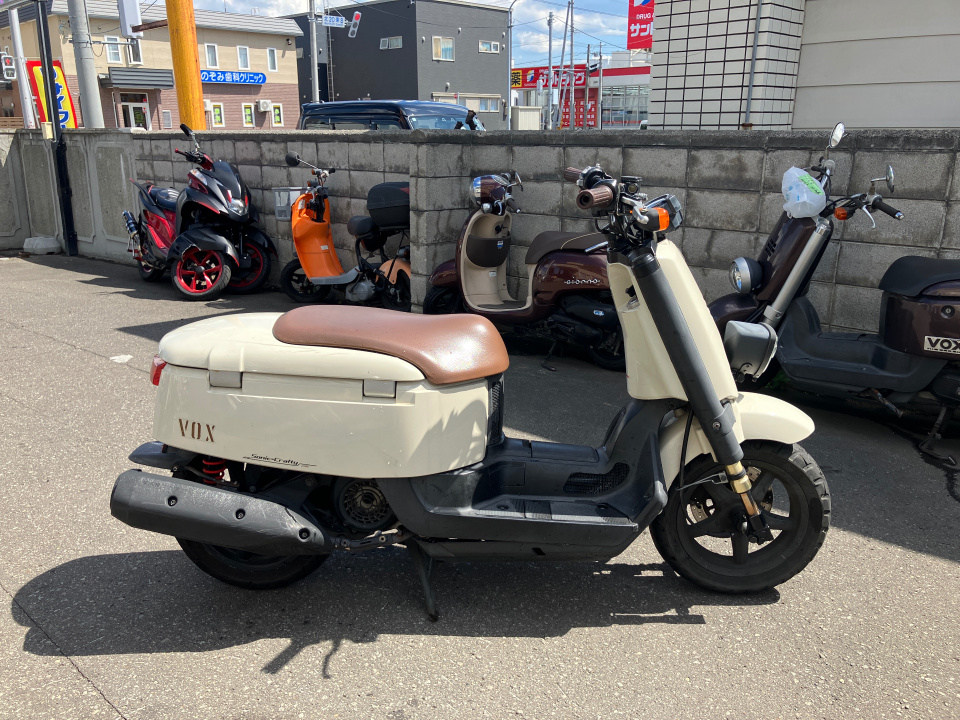 Yamaha VOX 2010