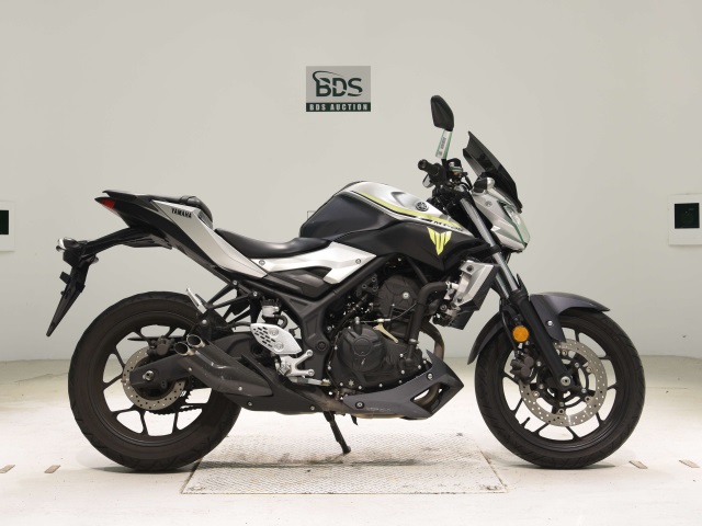 Yamaha MT-25 2017