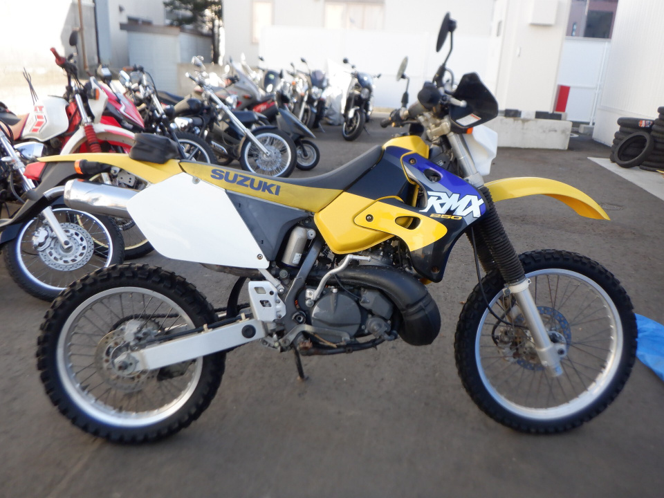 Suzuki RMX250S