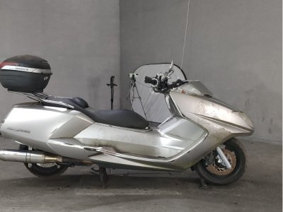 Yamaha MAGZAM 2007