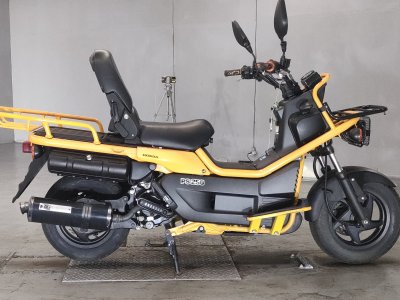 Honda PS250 BIG RUCKUS 2004