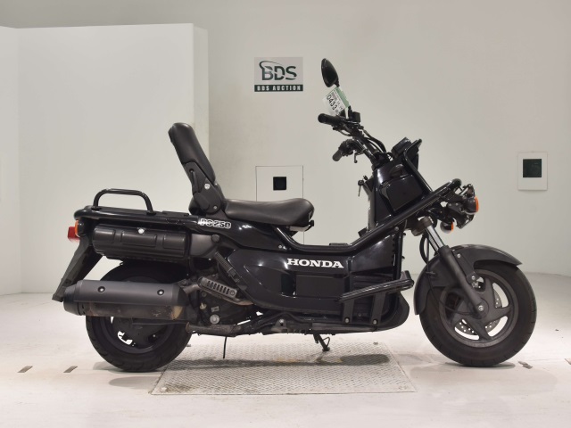 Honda PS250 BIG RUCKUS 2006
