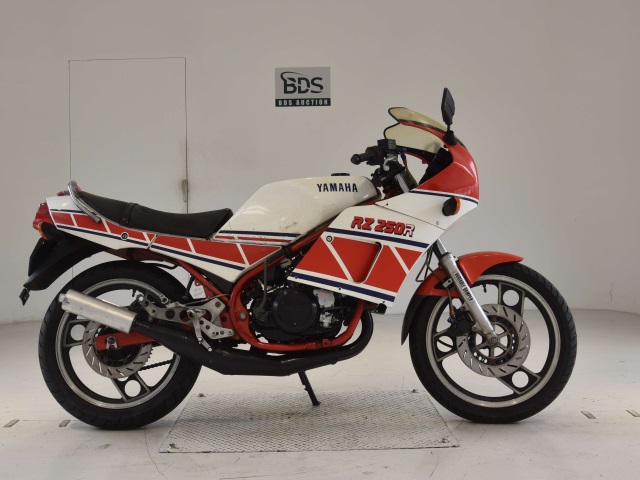 Yamaha RZ250RR 1984