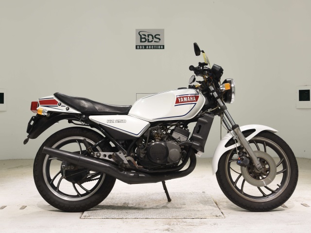 Yamaha RZ250