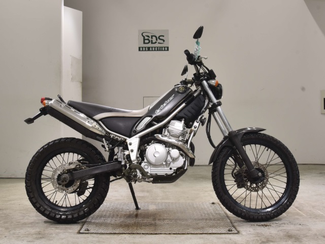 Yamaha TRICKER 2004
