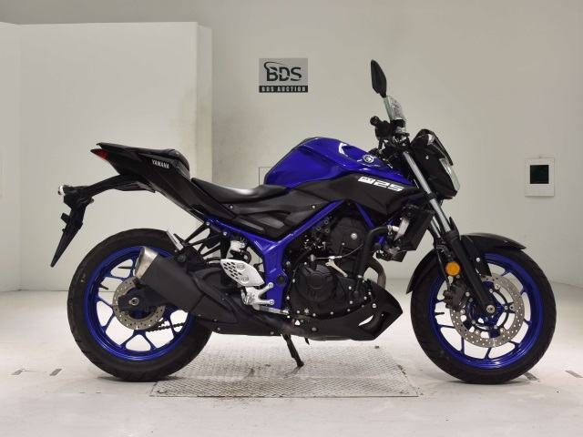 Yamaha MT-25 2019