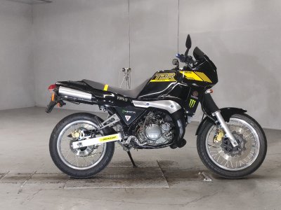Yamaha TDR250 1988
