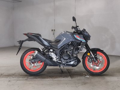 Yamaha MT-25 2021