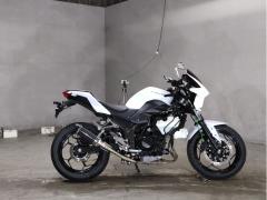 Kawasaki Z250 2013