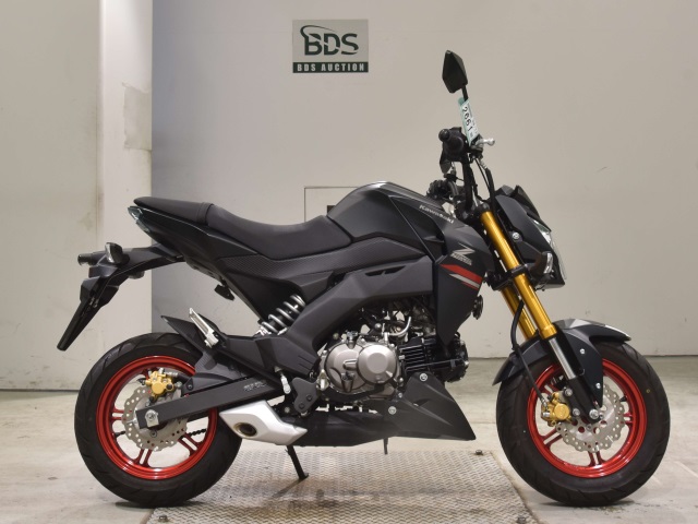 Kawasaki Z125 PRO 2021